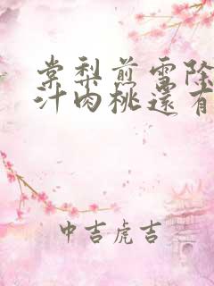 棠梨煎雪除了蜜汁肉桃还有什么肉