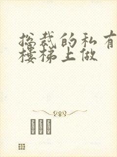 总裁的私有宝贝楼梯上做