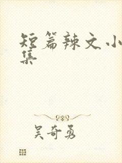 短篇辣文小说合集