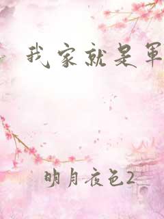 我家就是军火铺