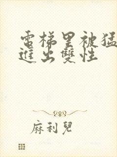 电梯里被猛烈的进出双性