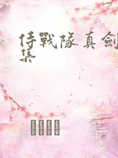 侍战队真剑者全集