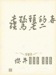 老孙头的春天马强马老二