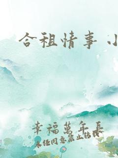 合租情事 小说