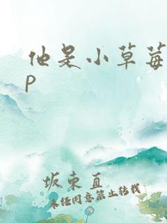 他是小草莓pop