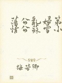 荡公乱妇第1章情公苏雪小说