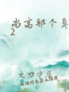 尚高那个臭小子2