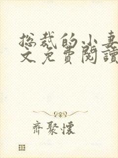 总裁的小妻子全文免费阅读