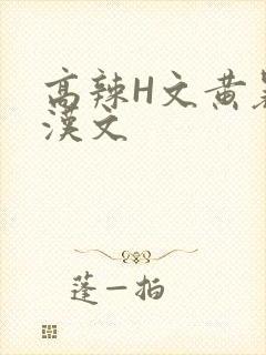 高辣H文黄暴糙汉文