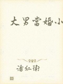 大男当婚小说