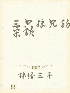 三只狼兄的宠妻宋钦