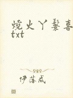 烧火丫鬟喜洋洋txt