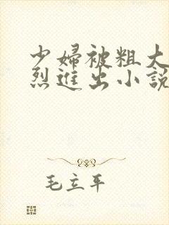 少妇被粗大的猛烈进出小说网