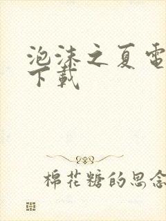 泡沫之夏电视剧下载