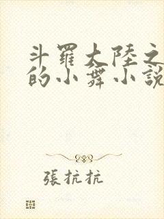 斗罗大陆之Y荡的小舞小说