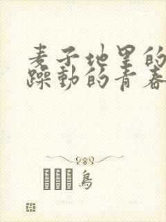 麦子地里的故事躁动的青春小说