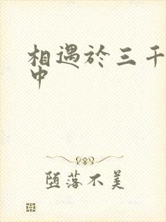 相遇于三千肉文中