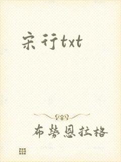 宋行txt