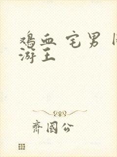 鸡血 宅男 网游王