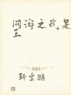 网游之我是海贼王