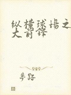 纵横球场之暴力大前锋