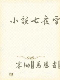 小说七夜雪下载