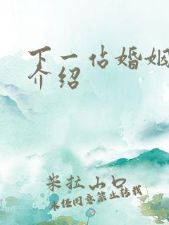 下一站婚姻剧情介绍