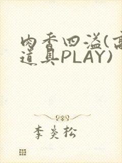 肉香四溢(高H道具PLAY)