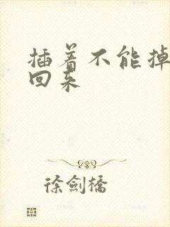 插着不能掉等我回来