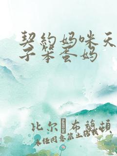 契约妈咪天才儿子笨蛋妈