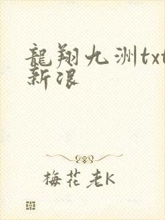 龙翔九洲txt新浪