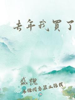 去年我买了个表