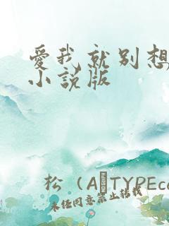 爱我就别想太多小说版