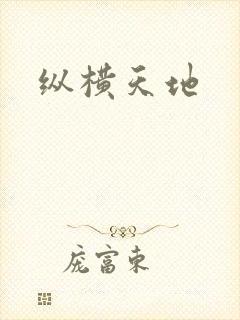 纵横天地