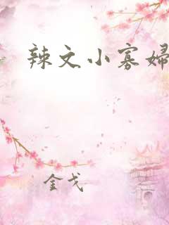 辣文小寡妇