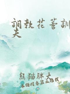 调教花蒂训诫从夫