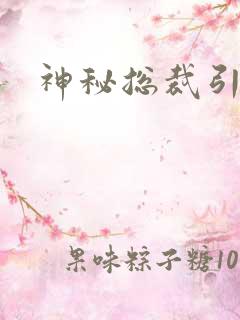 神秘总裁引入怀