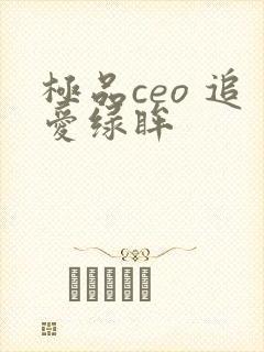 极品ceo 追爱绿眸