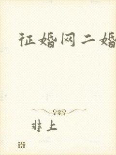 征婚网二婚