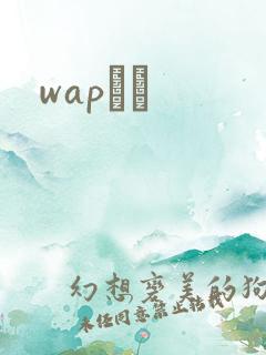 wapС˵