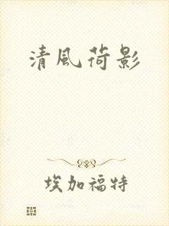 清风荷影