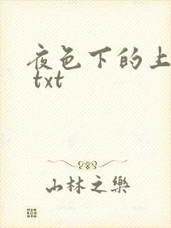 夜色下的上海滩 txt