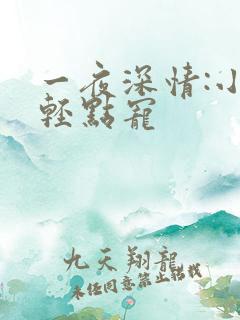 一夜深情:小叔轻点宠