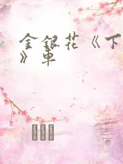 金银花《下厨房》车