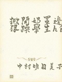 掀开奶罩边躁狠狠躁学生h的小说