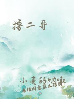撸二哥