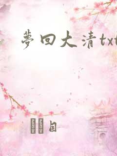 梦回大清txt