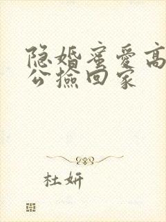 隐婚蜜爱高冷老公捡回家