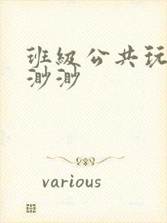 班级公共玩具叶渺渺