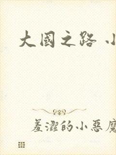 大国之路 小说